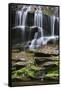 USA, Tennessee, Great Smoky Mountains National Park. Waterfall.-Jaynes Gallery-Framed Stretched Canvas