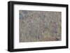 USA, Tennessee. Great Smoky Mountains National Park with late springtime snow-Darrell Gulin-Framed Photographic Print