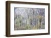 USA, Tennessee. Great Smoky Mountains National Park with late springtime snow-Darrell Gulin-Framed Photographic Print