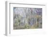 USA, Tennessee. Great Smoky Mountains National Park with late springtime snow-Darrell Gulin-Framed Photographic Print