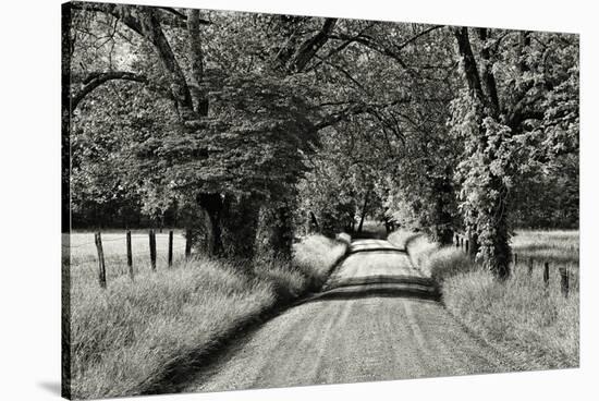 USA, Tennessee, Great Smoky Mountains NP. Dirt Road in Cades Cove-Dennis Flaherty-Stretched Canvas