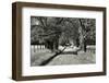 USA, Tennessee, Great Smoky Mountains NP. Dirt Road in Cades Cove-Dennis Flaherty-Framed Photographic Print