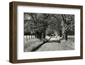 USA, Tennessee, Great Smoky Mountains NP. Dirt Road in Cades Cove-Dennis Flaherty-Framed Photographic Print