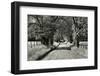 USA, Tennessee, Great Smoky Mountains NP. Dirt Road in Cades Cove-Dennis Flaherty-Framed Photographic Print