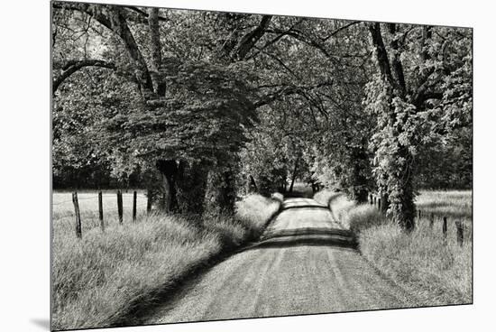 USA, Tennessee, Great Smoky Mountains NP. Dirt Road in Cades Cove-Dennis Flaherty-Mounted Premium Photographic Print