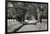 USA, Tennessee, Great Smoky Mountains NP. Dirt Road in Cades Cove-Dennis Flaherty-Framed Premium Photographic Print