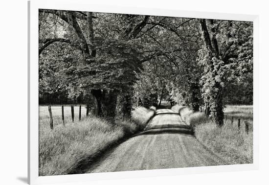 USA, Tennessee, Great Smoky Mountains NP. Dirt Road in Cades Cove-Dennis Flaherty-Framed Photographic Print