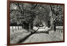 USA, Tennessee, Great Smoky Mountains NP. Dirt Road in Cades Cove-Dennis Flaherty-Framed Photographic Print