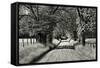 USA, Tennessee, Great Smoky Mountains NP. Dirt Road in Cades Cove-Dennis Flaherty-Framed Stretched Canvas