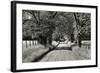 USA, Tennessee, Great Smoky Mountains NP. Dirt Road in Cades Cove-Dennis Flaherty-Framed Photographic Print