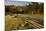 USA, Tennessee, Historic Cabin in Cades Cove at Smoky Mountains NP-Joanne Wells-Mounted Photographic Print