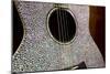 USA, Tennessee, Nashville. Taylor Swift's bejeweled rhinestone guitar.-Cindy Miller Hopkins-Mounted Photographic Print