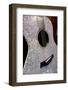 USA, Tennessee, Nashville. Taylor Swift's bejeweled rhinestone guitar.-Cindy Miller Hopkins-Framed Photographic Print