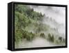 USA, Tennessee, North Carolina, Great Smoky Mountains National Park-Zandria Muench Beraldo-Framed Stretched Canvas