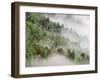 USA, Tennessee, North Carolina, Great Smoky Mountains National Park-Zandria Muench Beraldo-Framed Photographic Print