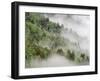 USA, Tennessee, North Carolina, Great Smoky Mountains National Park-Zandria Muench Beraldo-Framed Photographic Print