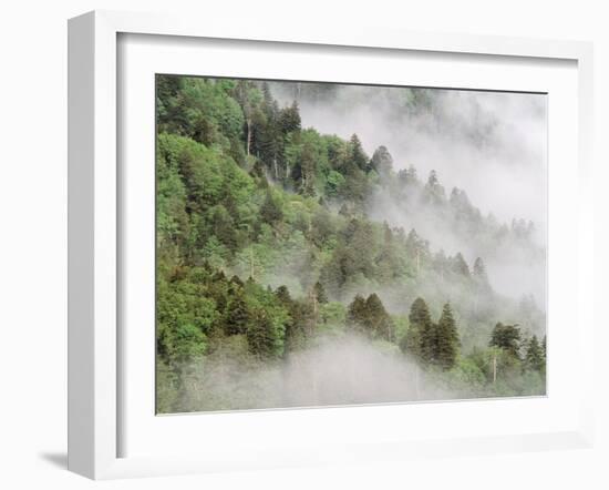 USA, Tennessee, North Carolina, Great Smoky Mountains National Park-Zandria Muench Beraldo-Framed Photographic Print