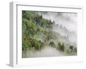 USA, Tennessee, North Carolina, Great Smoky Mountains National Park-Zandria Muench Beraldo-Framed Photographic Print