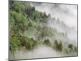 USA, Tennessee, North Carolina, Great Smoky Mountains National Park-Zandria Muench Beraldo-Mounted Photographic Print
