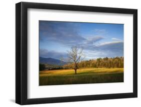 USA, Tennessee, Pasture in Cades Cove.-Joanne Wells-Framed Photographic Print