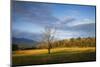 USA, Tennessee, Pasture in Cades Cove.-Joanne Wells-Mounted Photographic Print