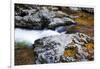 USA, Tennessee. Reflections along the Little River in the Smoky Mountains.-Joanne Wells-Framed Photographic Print