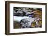 USA, Tennessee. Reflections along the Little River in the Smoky Mountains.-Joanne Wells-Framed Photographic Print