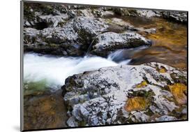 USA, Tennessee. Reflections along the Little River in the Smoky Mountains.-Joanne Wells-Mounted Photographic Print