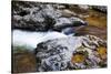 USA, Tennessee. Reflections along the Little River in the Smoky Mountains.-Joanne Wells-Stretched Canvas