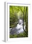 USA, Tennessee, Smoky Mountain NP. Middle Prong trail of Little River.-Trish Drury-Framed Photographic Print