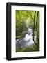 USA, Tennessee, Smoky Mountain NP. Middle Prong trail of Little River.-Trish Drury-Framed Photographic Print