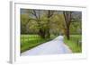 USA, Tennessee, Sparks Lane in Cades Cove in the spring.-Joanne Wells-Framed Photographic Print