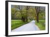 USA, Tennessee, Sparks Lane in Cades Cove in the spring.-Joanne Wells-Framed Photographic Print