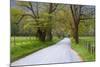 USA, Tennessee, Sparks Lane in Cades Cove in the spring.-Joanne Wells-Mounted Photographic Print