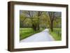 USA, Tennessee, Sparks Lane in Cades Cove in the spring.-Joanne Wells-Framed Photographic Print