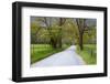USA, Tennessee, Sparks Lane in Cades Cove in the spring.-Joanne Wells-Framed Photographic Print