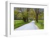 USA, Tennessee, Sparks Lane in Cades Cove in the spring.-Joanne Wells-Framed Photographic Print