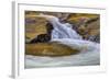 USA, Tennessee, The Little River of the Great Smokey Mountains NP.-Joanne Wells-Framed Photographic Print