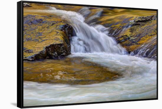 USA, Tennessee, The Little River of the Great Smokey Mountains NP.-Joanne Wells-Framed Stretched Canvas