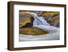 USA, Tennessee, The Little River of the Great Smokey Mountains NP.-Joanne Wells-Framed Photographic Print