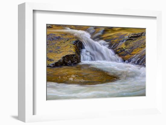 USA, Tennessee, The Little River of the Great Smokey Mountains NP.-Joanne Wells-Framed Photographic Print