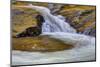 USA, Tennessee, The Little River of the Great Smokey Mountains NP.-Joanne Wells-Mounted Photographic Print