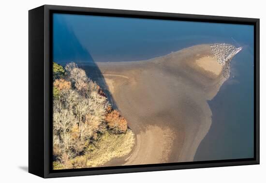 USA, Tennessee. White pelicans and cormorants creating patterns.-Trish Drury-Framed Stretched Canvas