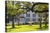 USA, Texas, Austin. Fountain and twisted oak trees at Laguna Gloria.-Randa Bishop-Stretched Canvas