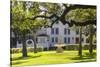 USA, Texas, Austin. Fountain and twisted oak trees at Laguna Gloria.-Randa Bishop-Stretched Canvas