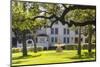 USA, Texas, Austin. Fountain and twisted oak trees at Laguna Gloria.-Randa Bishop-Mounted Photographic Print