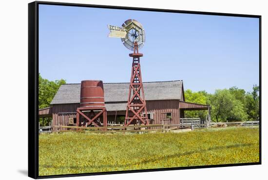 USA, Texas, Austin. Pioneer Farms, Scarborough Barn and windmill-Randa Bishop-Framed Stretched Canvas