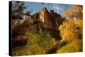 USA, Texas, Big Bend NP, Santa Elena Canyon, Rio Grande River.-Bernard Friel-Stretched Canvas