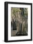 USA, Texas, Caddo Lake. Spanish moss on cypress trees.-Jaynes Gallery-Framed Photographic Print