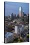 USA, Texas, Dallas. Overview of downtown Dallas from Reunion Tower at night.-Brent Bergherm-Stretched Canvas